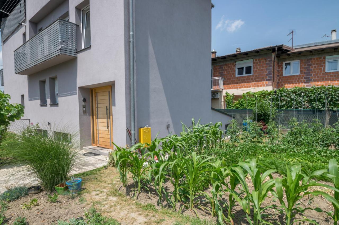 Pomodoro Rooms Zagreb Ngoại thất bức ảnh