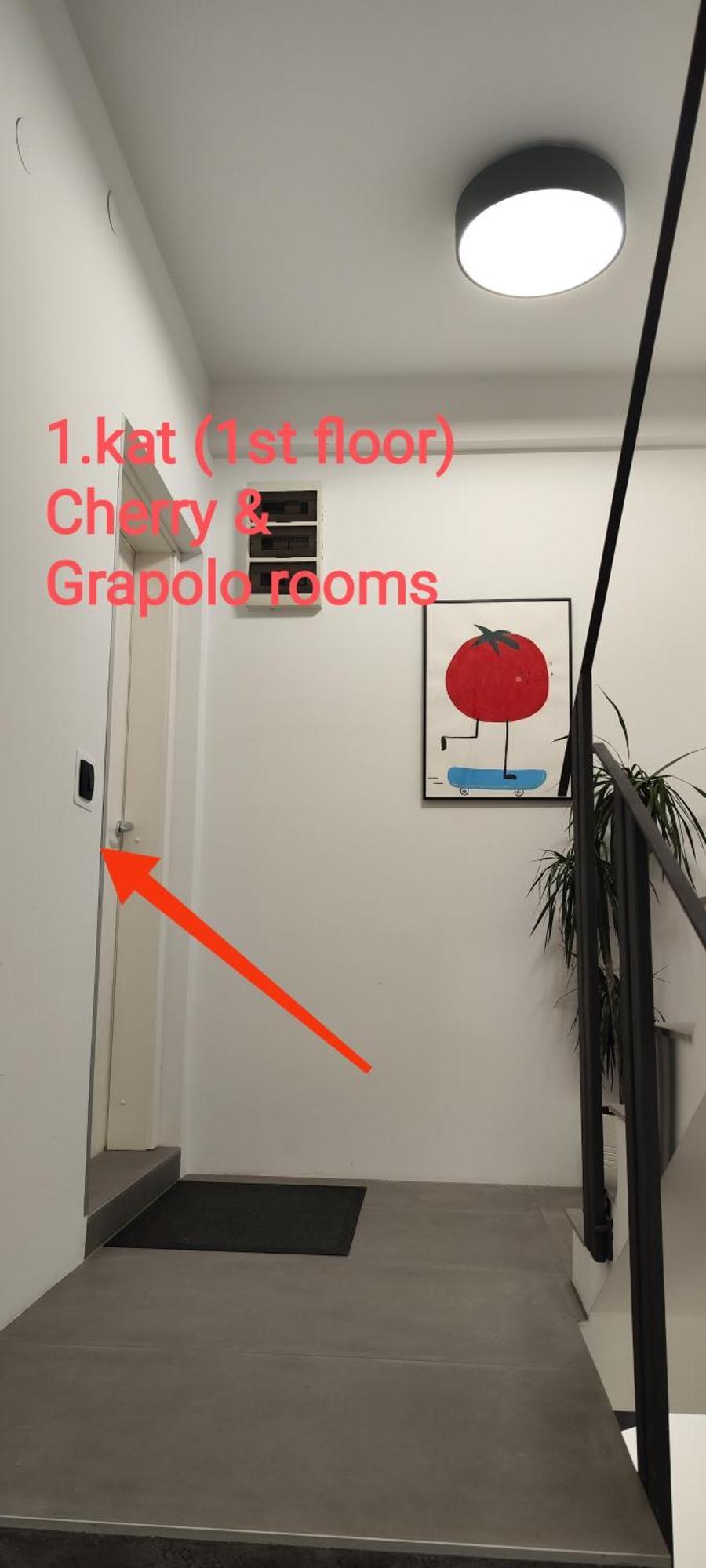 Pomodoro Rooms Zagreb Ngoại thất bức ảnh